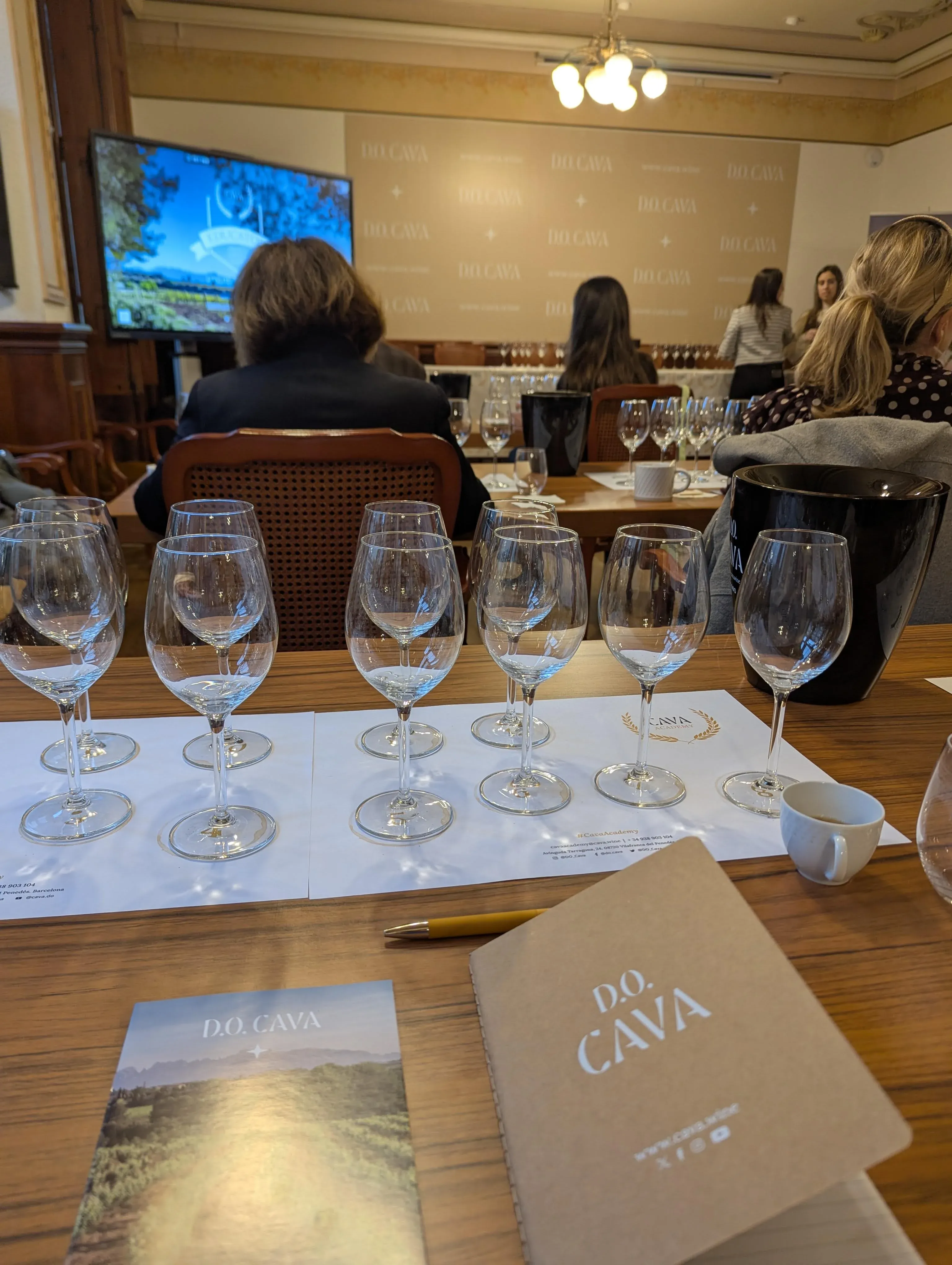 Cava DO intro session