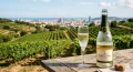 Thumbnail for How to Read a Cava Label: Guarda, Reserva, Gran Reserva, and Paraje Calificado
