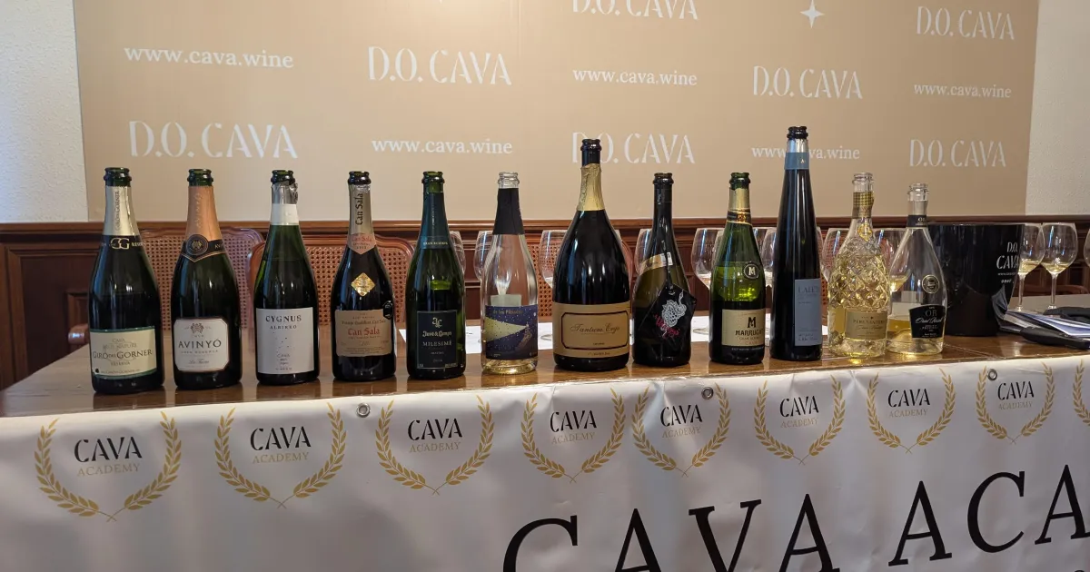 Hero for Cava Educator Advanced - Day 1