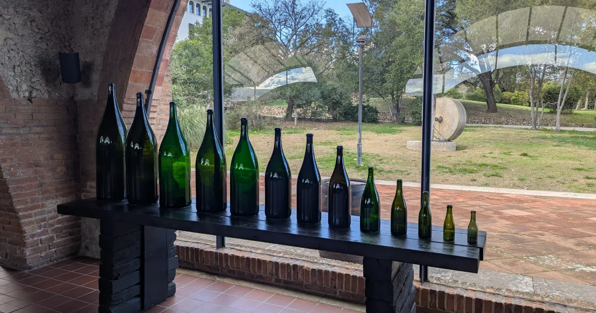 Hero for Cava Educator Advanced - Day 2